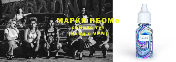 дмт Алзамай
