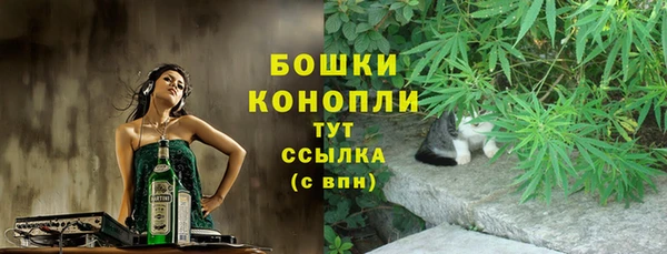 сатива Алексеевка